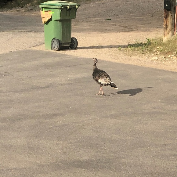 Meet your Posher, Angela - Picture 7 of 8